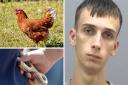 Sonny-Joe Barney, 20 and of Verwood, pictured right, received a criminal behaviour order