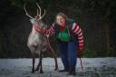 Suzie Wright with reindeer Daisy.