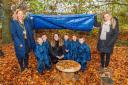 School expands 'forestry programme' after donation