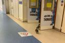 Curious ducks spotted roaming the halls of Bournemouth hospital