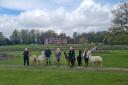 Carol and her husband Simon have made a alpaca walking business in Burley