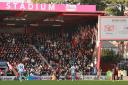 Supporter numbers have risen this season for Cherries