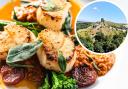 Here are some of the best rated restaurants and cafes in Purbeck.