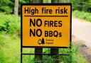 No BBQs allowed in the New Forest. Picture: Forestry England
