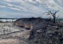 Aftermath of the Studland heath fire. Picture: Sean Davies
