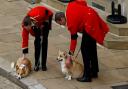 ‘The presents that keeps giving’: Sarah Ferguson shares photo of Queen’s Corgis (PA)