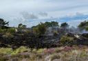Firefighters were called to Studland after a fire on heathland.