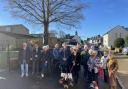 Residents rally against a proposed felling of a sycamore tree in Wareham