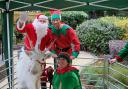 Reindeers and elves visit residents at Poole care home