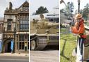 Dorset Museum, Tank Museum, Warmwell Holiday Park are finalists
