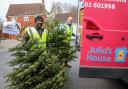 How to recycle your Christmas tree and support Dorset children’s hospice