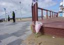 Murder probe continues after woman stabbed to death on beach - updates