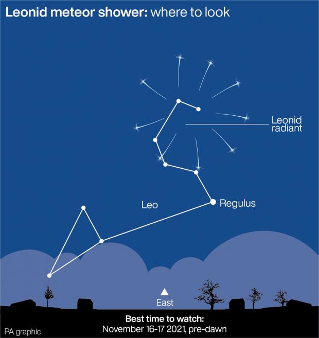 Bournemouth Echo: Leonid meteor shower: where to look. (PA)