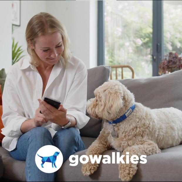 Bournemouth Echo: GoWalkies is quick and easy to use from both the walkers and owners perspective. (GoWalkies)