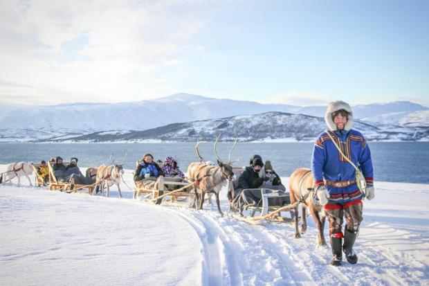 Bournemouth Echo: Reindeer Sledding Experience and Sami Culture Tour from Tromso - Tromso, Norway. Credit: TripAdvisor