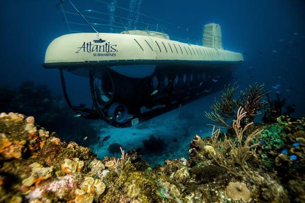 Bournemouth Echo:  Atlantis Submarine Expedition in Cozumel - Cozumel, Mexico. Credit: TripAdvisor