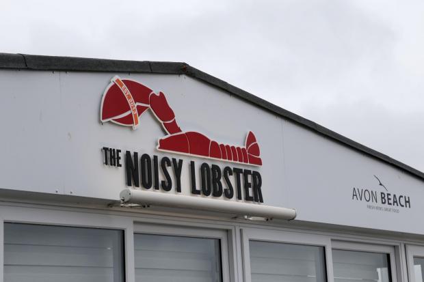 Bournemouth Echo: GV of The Noisy Lobster on Avon Beach. ..SS260815cNoisyLobster             PHOTO BY SAM SHELDON.