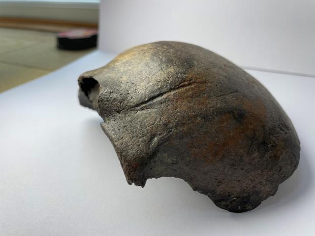 Bournemouth Echo: Saxon skull found in the River Stour by teenager Tom Read. Picture: Rachel Read