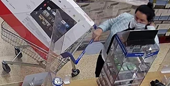 Police would like to speak with this woman in connection with the theft