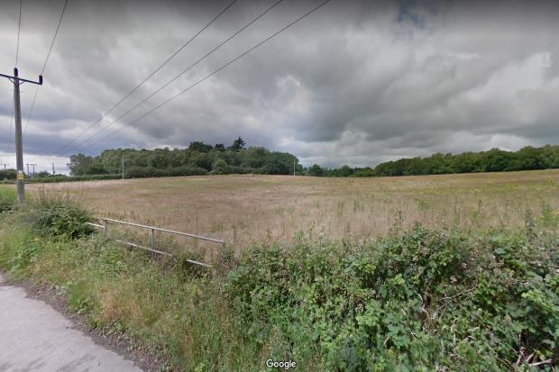 One of the proposed fields for the solar farm, next to Blandford Road. Picture: Google Maps