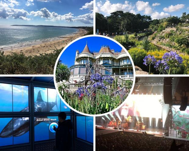 Bournemouth Echo: There are a wealth of family attractions in and around Bournemouth. Pictures: Tripadvisor