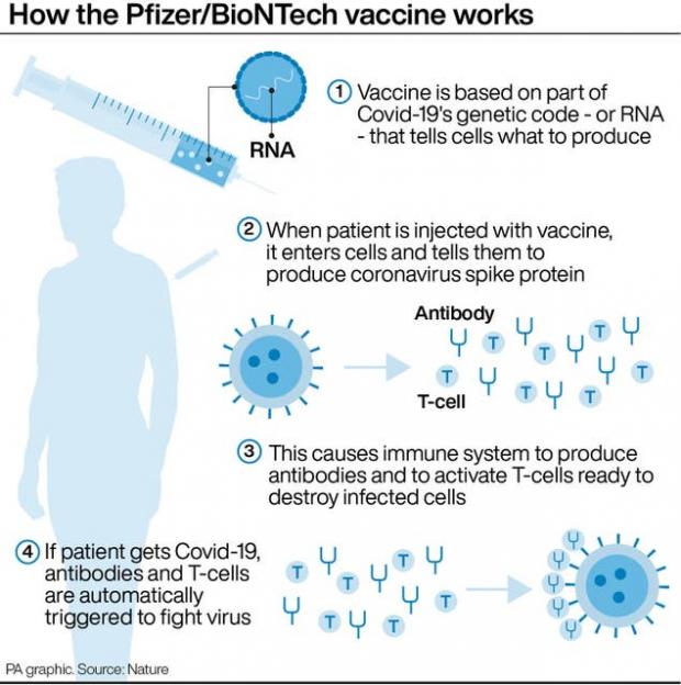 Bournemouth Echo: Photo via PA explains how the Pfizer vaccine works.
