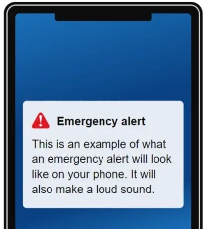 Bournemouth Echo: What a government emergency alert will look like. Picture: gov.uk