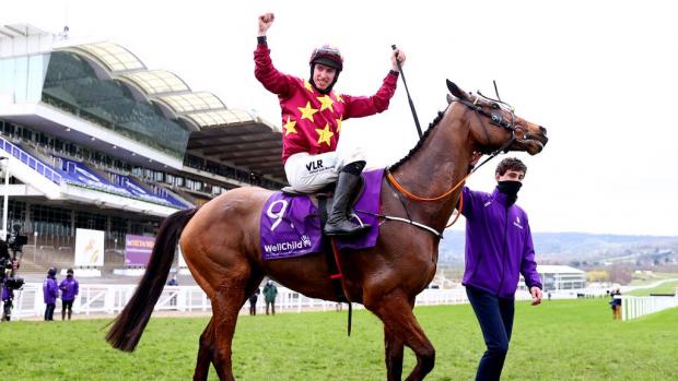 Bournemouth Echo: Minella Indo won the Cheltenham Gold Cup in 2021. (PA)