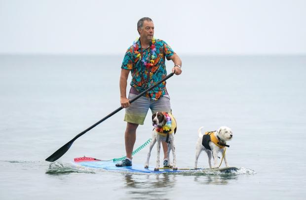 Bournemouth Echo: George Humphreys and his dogs Wilma and Smurf, practice in the sea before taking part in Dogmasters 2021. Picture: PA