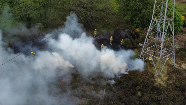 Bournemouth Echo: Firefighters on Canford Heath. Picture by Echo Camera Club Dorset member Josh Coley