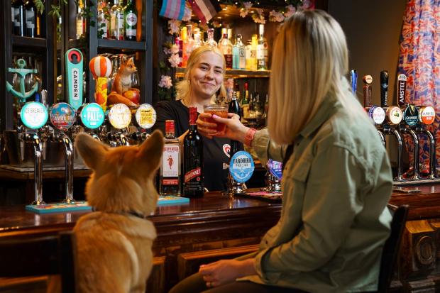 Bournemouth Echo: Take a Corgi for a free 'Queen's Tipple' over the Platinum Jubilee weekend. Picture: Greene King