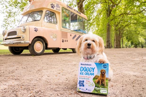 Bournemouth Echo: The doggy ice cream comes in two flavours irresistible to tail-waggers. Picture: Aldi 