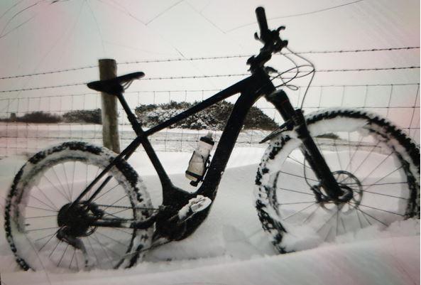 Bournemouth Echo: Image of the stolen bike released by Dorset Police