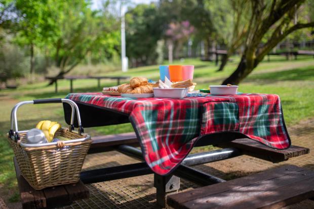 Bournemouth Echo: A picnic laid out on a bench. Credit: Canva