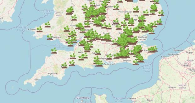 Bournemouth Echo: WhatShed's interactive map shows dozens of spots in the south of England where Giant Hogweed has been spotted. Picture: WhatShed