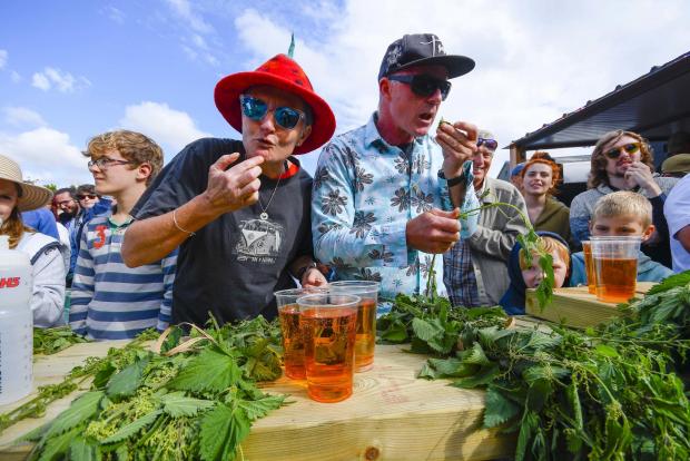 Bournemouth Echo: Lucy Sangar and Jamie Wollen eating nettles at the World nettle eating championships at the Dorset Nectar Cider Farm at Waytown - 25th June 2022. Picture Credit: Graham Hunt Photography