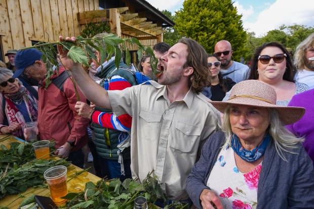 Bournemouth Echo: Daniel Jackson eating nettles at the World nettle eating championships at the Dorset Nectar Cider Farm at Waytown - 25th June 2022. Picture Credit: Graham Hunt Photography