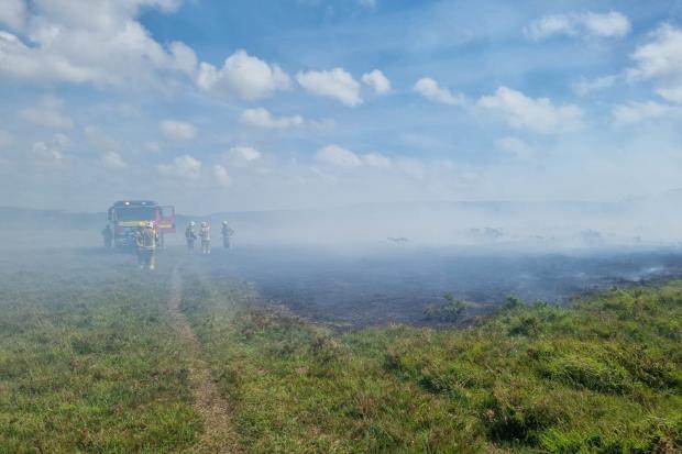 A351 closed as fire breaks out on Furzebrook Heath in Wareham. Picture: Dorset and Wiltshire Fire and Rescue Service Facebook page