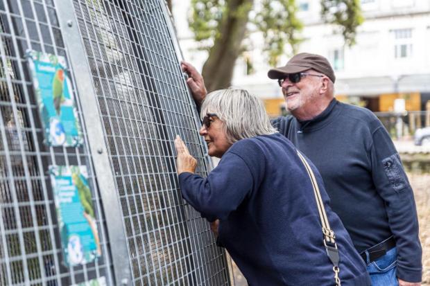 Bournemouth Echo: A couple trying to see the birds in the aviary. Photo by BNPS