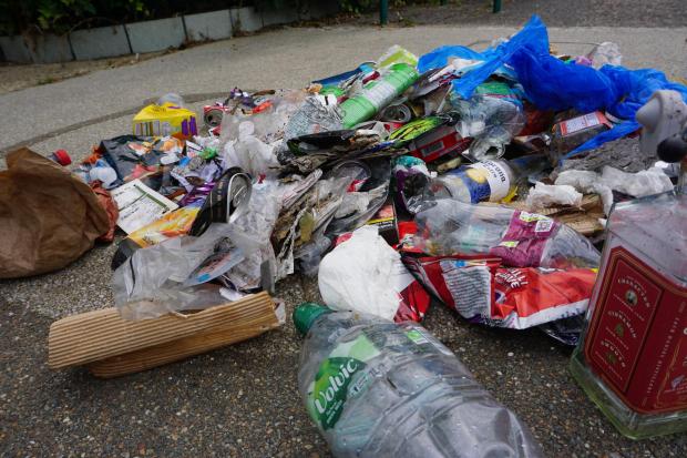 Bournemouth Echo: BCP council issued no fixed penalty notices for littering over the past 12 months