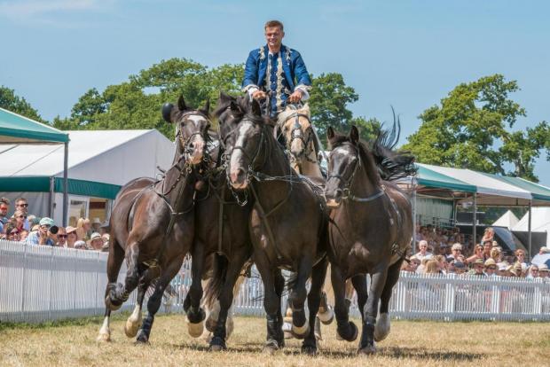 Bournemouth Echo: This year's New Forest Show will feature daily appearances by Atkinson Action Horses.