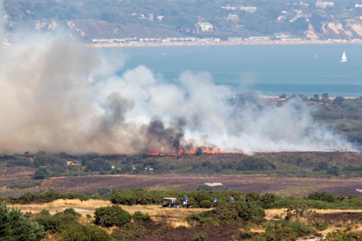 The fire at Studland on Friday. Picture by Brian Dorey.