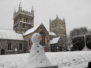 A seasonal visitor to Wimborne Minster spotted by Annie Chambers.