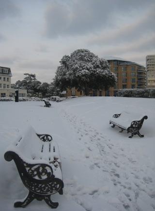 Eastcliff benches in the snow. Taken by Beryl Grindrod.