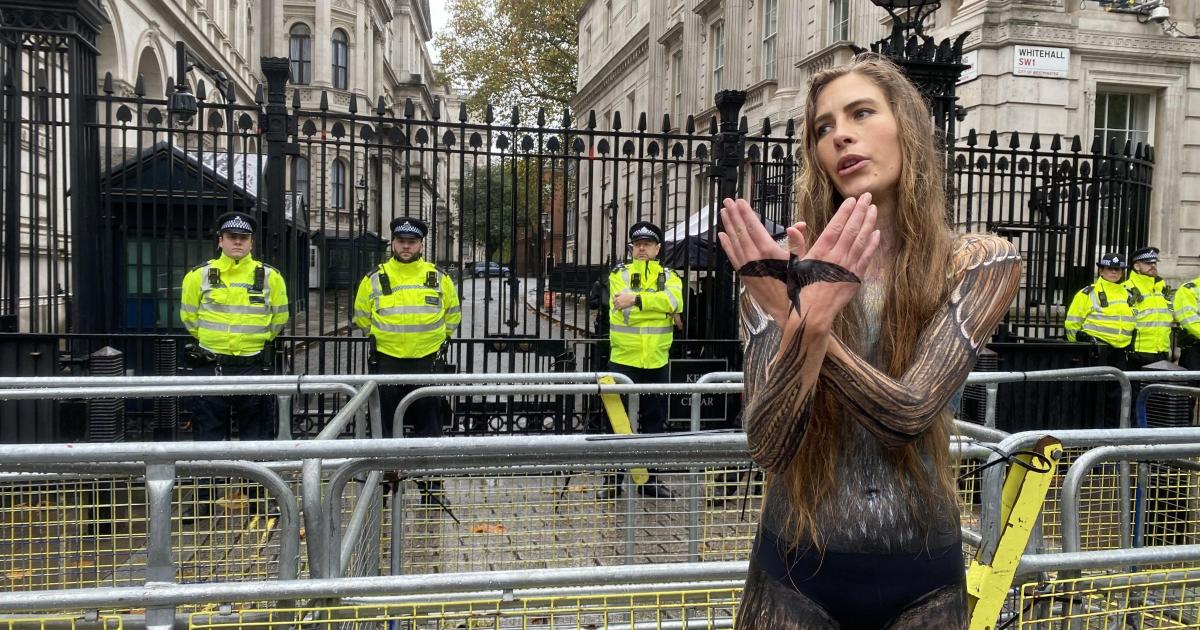Activist marches through London in almost nothing but paint in bid to save birds - Vimarsana News