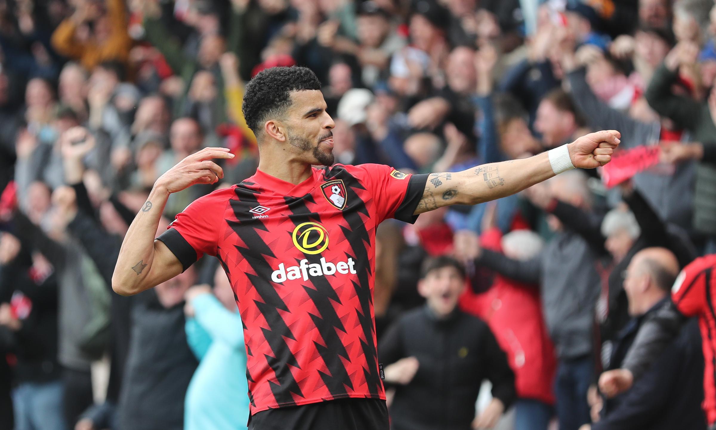 Dominic Solanke to join growing list of dads at Bournemouth