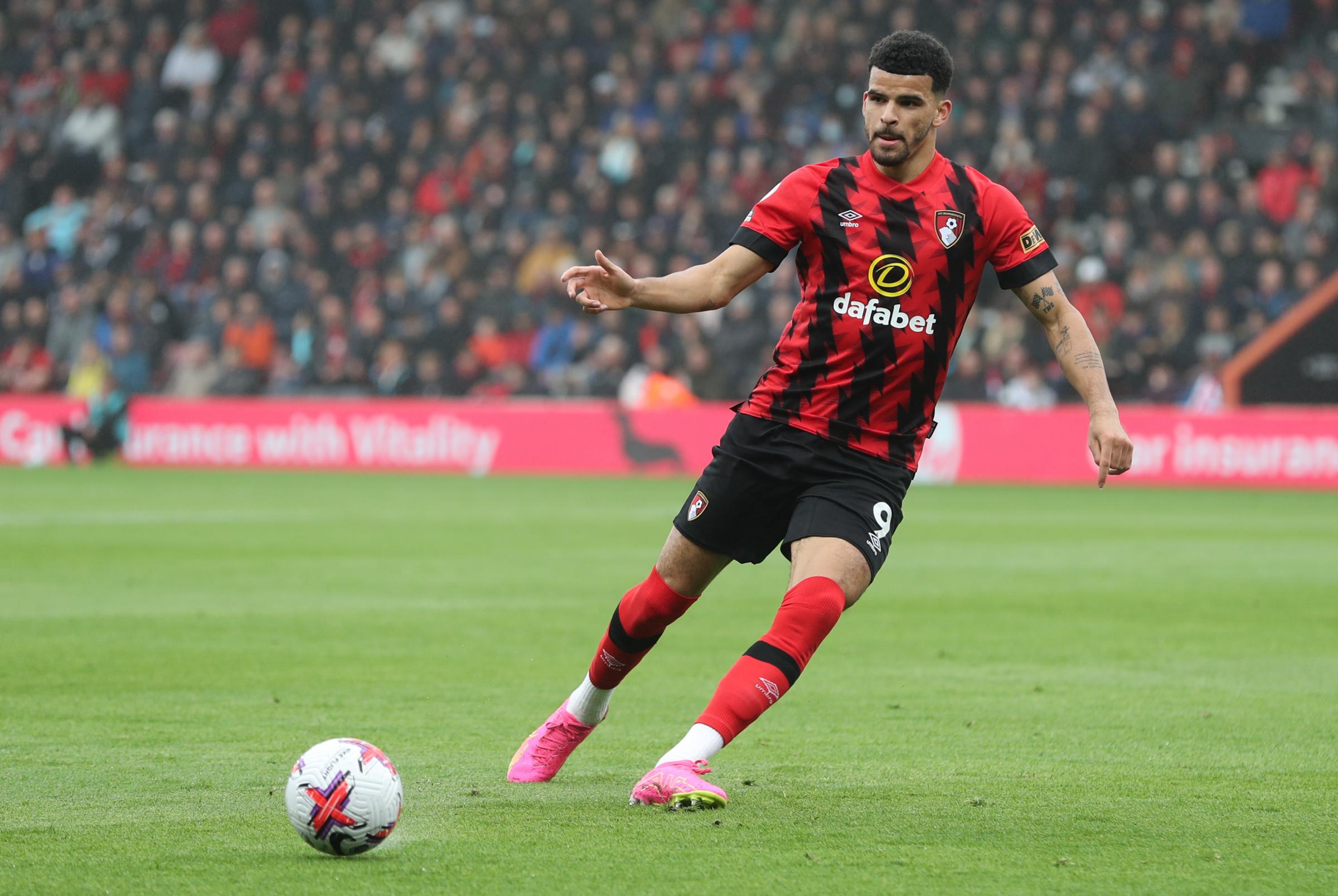 AFC Bournemouth's Dominic Solanke on finding form at right time