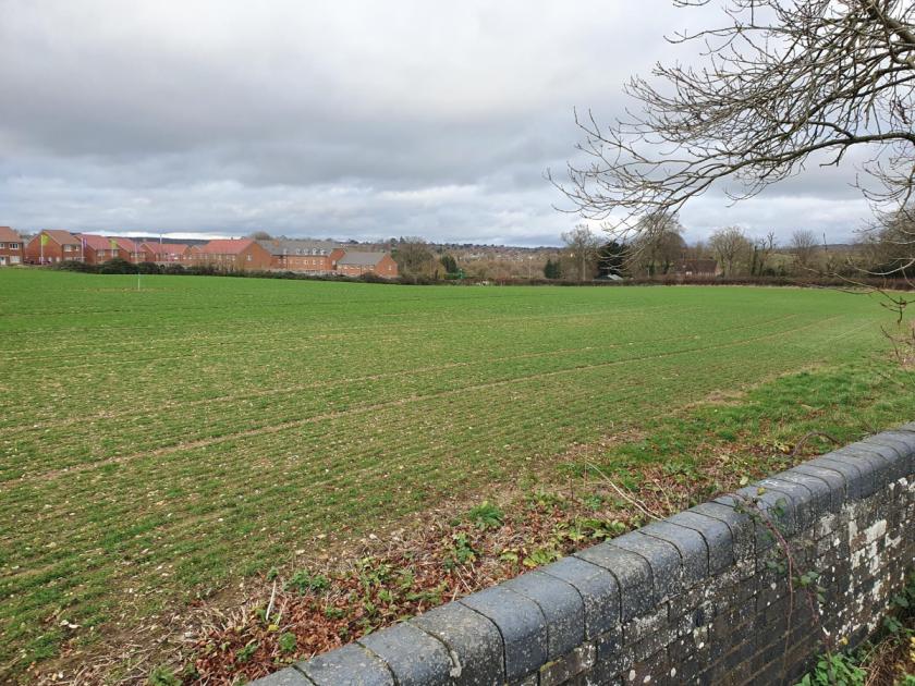 135 extra homes 'will swamp Lower Blandford St Mary' 