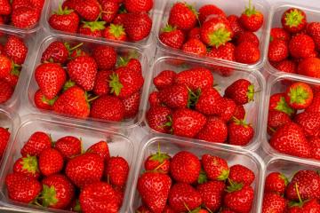 Is there a shortage of strawberries in the UK? Find out why