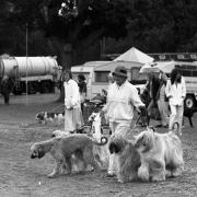 Bournemouth dog show - August 11, 1989.